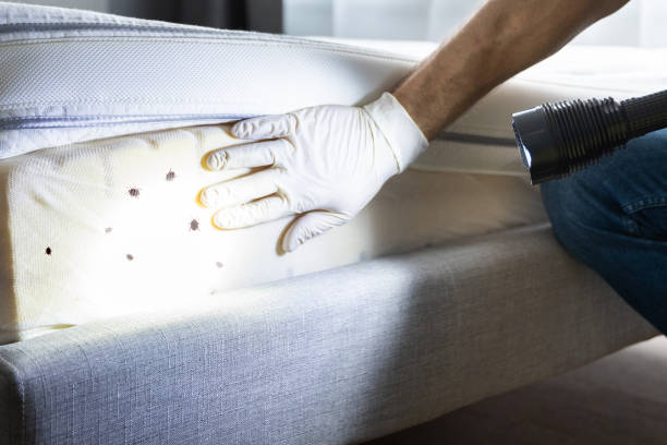 Best Pest Control Near Me  in Inez, TX