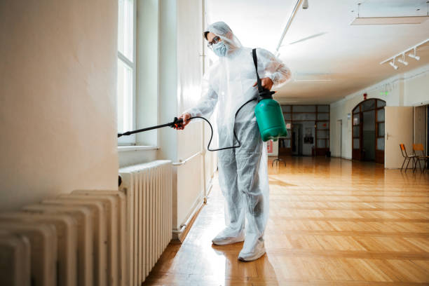 Best Flea Control Services  in Inez, TX