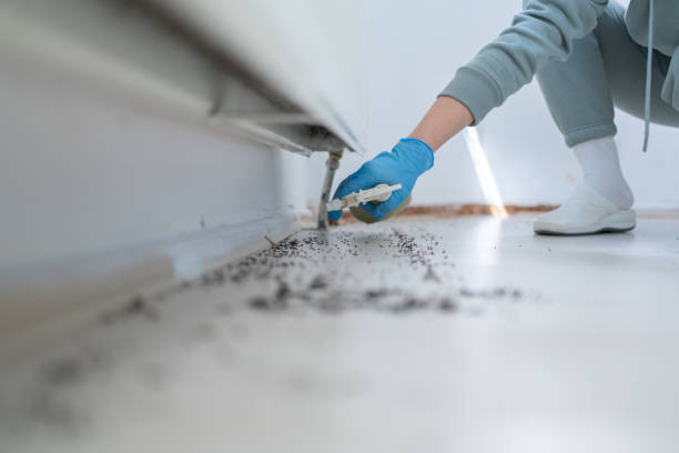 Best Pest Control Near Me  in Inez, TX