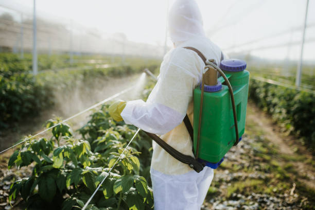 Best Pest Removal Services  in Inez, TX